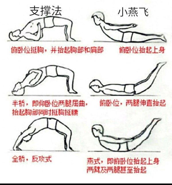 添盈聚富 腰痛腿麻？这份超全的“科学护腰指南”赶紧收藏！