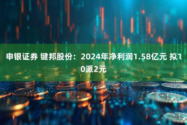 申银证券 键邦股份：2024年净利润1.58亿元 拟10派2元